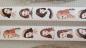 Preview: Design Washi Tape Girls